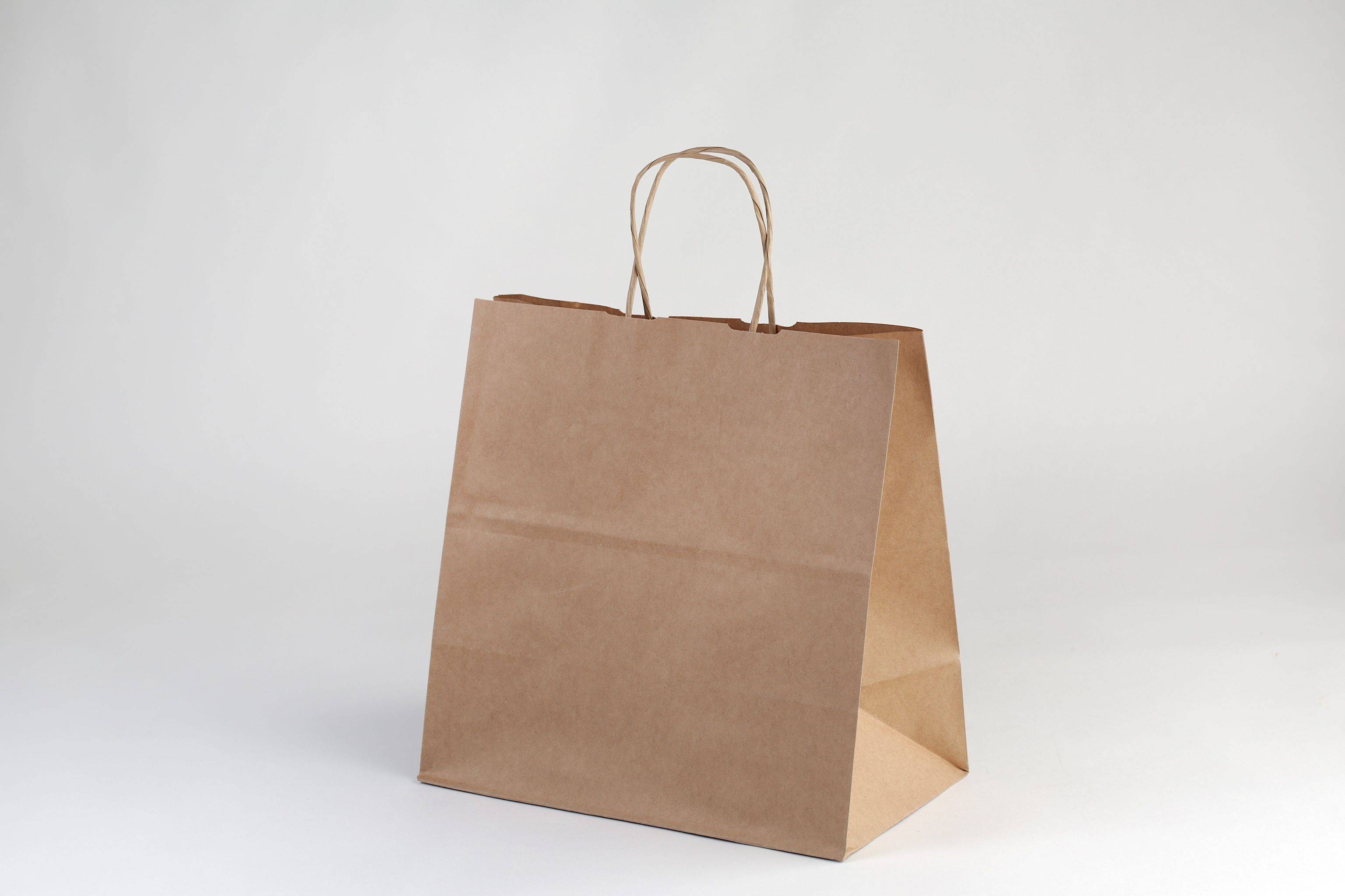 Craft paper Bag